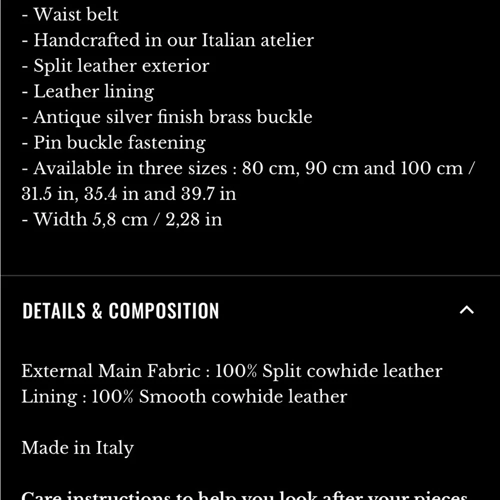 Sezane louve Brown Belt with Silver Buckle - Picture 5 of 5